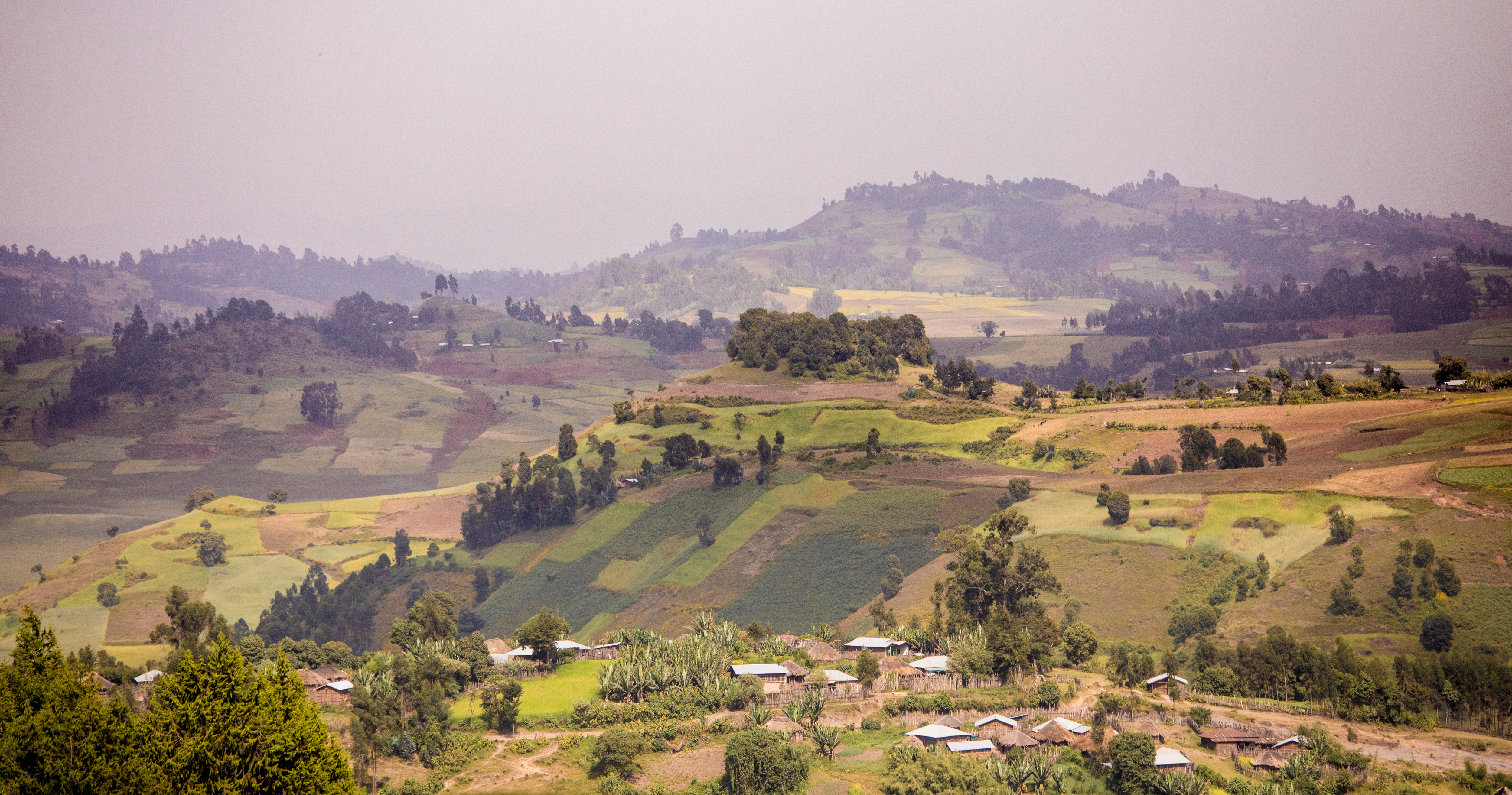 Mountains, farms, and houses in the highlands of Ethiopia. Photo: Wollwerth Imagery / Adobe Stock