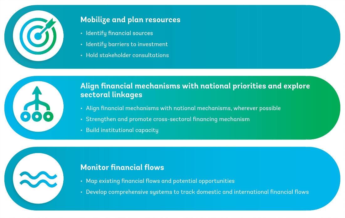 Financing Strategies 
