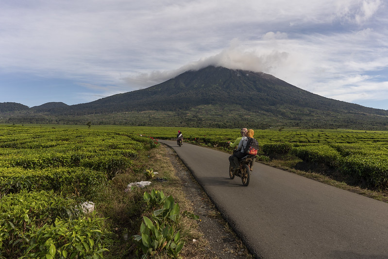 What’s the Difference Between Climate Finance and Carbon Finance?