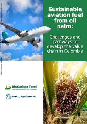 Sustainable Aviation Fuel from Oil Palm : Challenges and Pathways to Develop the Value Chain in Colombia