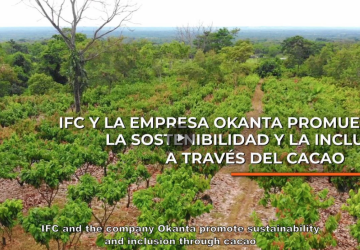 IFC and Okanta drive social impact through cacao by empowering communities and promoting inclusive growth