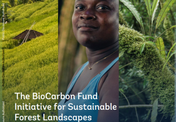 Annual Report ISFL 2025