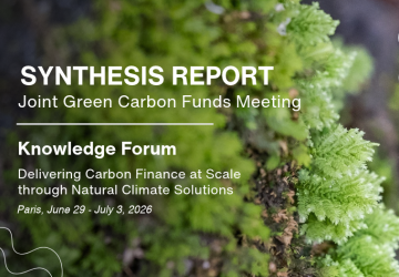 Scaling Forest Carbon Finance: Key Takeaways from the 2026 Paris Knowledge Forum