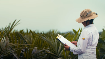 Colombia: Agricultura Climáticamente Inteligente en la Orinoquía