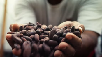 Colombia: Agricultura Climáticamente Inteligente en la Orinoquía