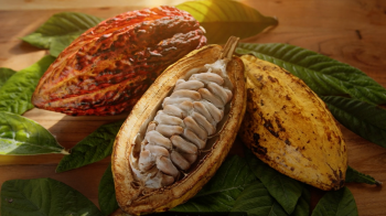 Cacao en la Orinoquía: Motor de Desarrollo Sostenible