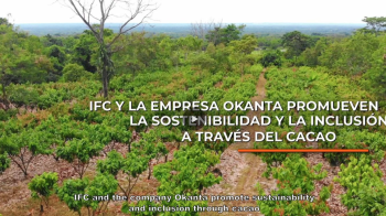 IFC and Okanta drive social impact through cacao by empowering communities and promoting inclusive growth