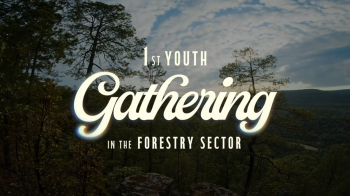 1st Youth Gathering in the Forestry Sector – Durango, Mexico