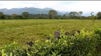 ISFL Orinoquia Sustainable Integrated Landscape Program
