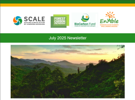 newsletter cover