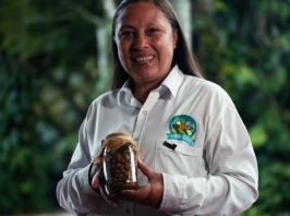 Productos Forestales No Maderables en la Orinoquía: Innovación y Sostenibilidad