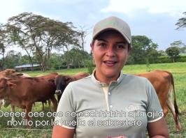 Colombia Que es la reconversión ganadera?