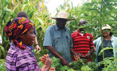 Making forest commitments a reality (Ellysar Baroudy, BioCF ISFL Fund Manager and FCPF Coordinator) 