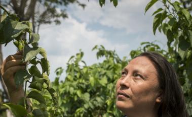 Unlocking nature-based economies: how to crack the nut in Colombia