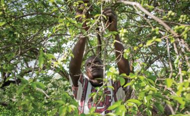 Why We’re Betting on Forests