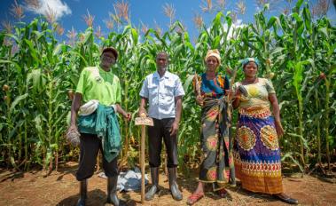 Zambian Farmers at Field School Reap Benefits of Climate-Smart Agriculture​
