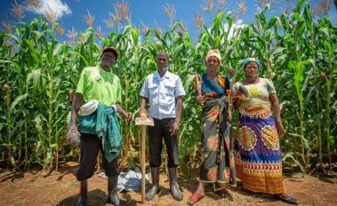 Zambian Farmers at Field School Reap Benefits of Climate-Smart Agriculture​