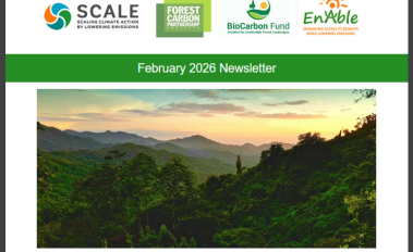 feb newsletter